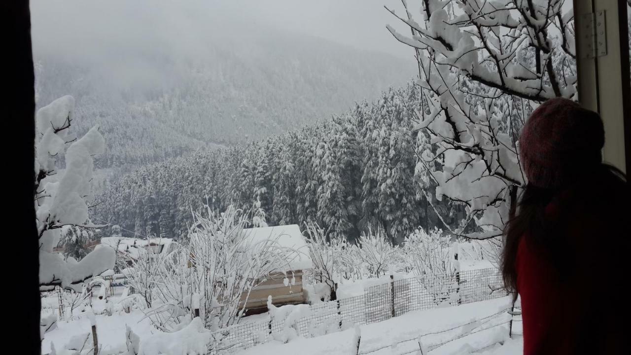 Sparsh Resort 마날리 외부 사진